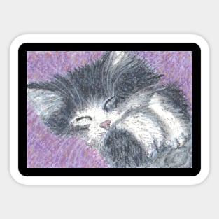 fluffy kitten Sticker